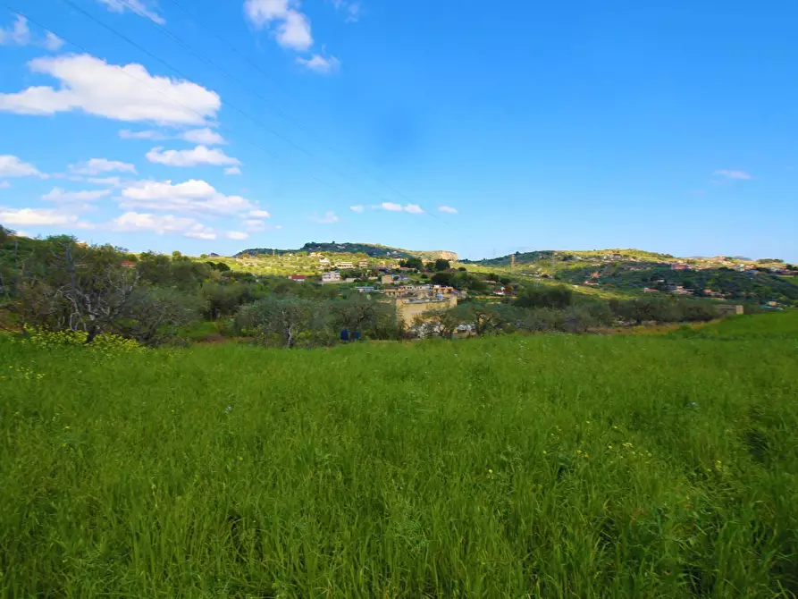 Immagine 22 di Terreno agricolo in vendita  in Strada Comunale Torre Amalfitano a Bagheria