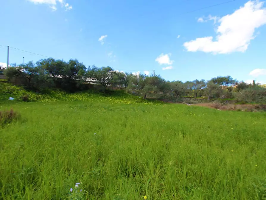 Immagine 23 di Terreno agricolo in vendita  in Strada Comunale Torre Amalfitano a Bagheria