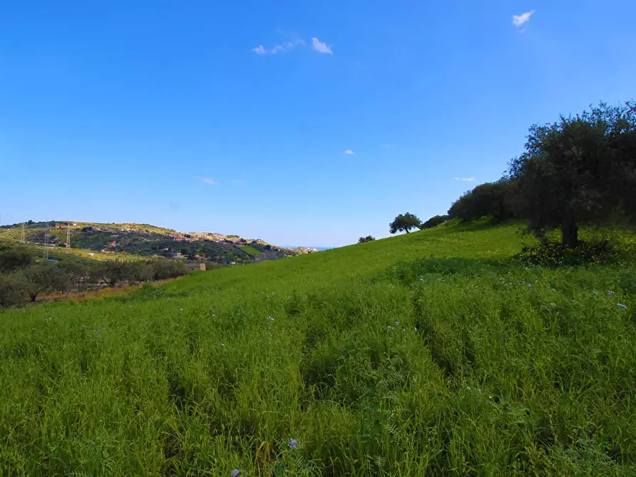 Immagine 24 di Terreno agricolo in vendita  in Strada Comunale Torre Amalfitano a Bagheria