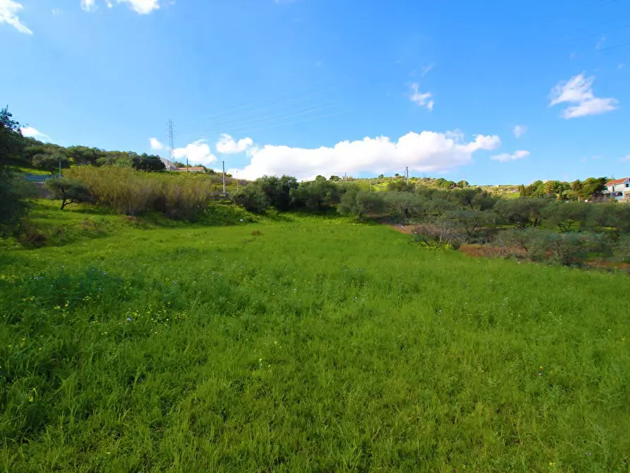 Immagine 26 di Terreno agricolo in vendita  in Strada Comunale Torre Amalfitano a Bagheria