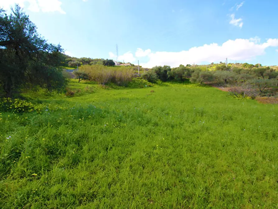 Immagine 27 di Terreno agricolo in vendita  in Strada Comunale Torre Amalfitano a Bagheria