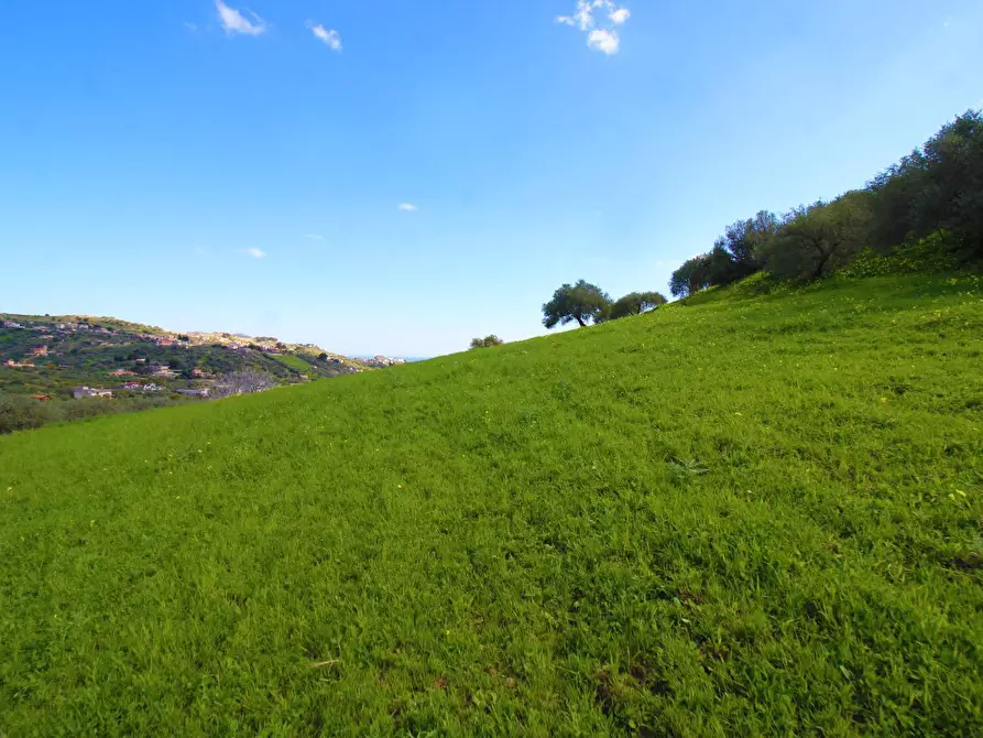 Immagine 28 di Terreno agricolo in vendita  in Strada Comunale Torre Amalfitano a Bagheria