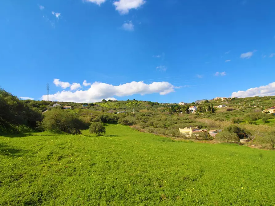 Immagine 32 di Terreno agricolo in vendita  in Strada Comunale Torre Amalfitano a Bagheria