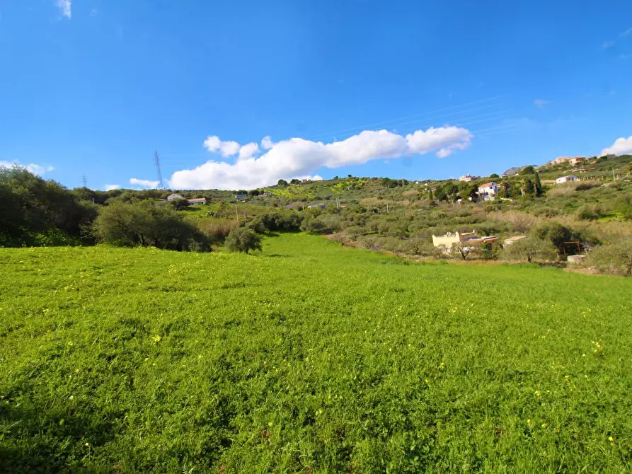 Immagine 39 di Terreno agricolo in vendita  in Strada Comunale Torre Amalfitano a Bagheria