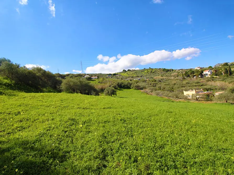 Immagine 40 di Terreno agricolo in vendita  in Strada Comunale Torre Amalfitano a Bagheria