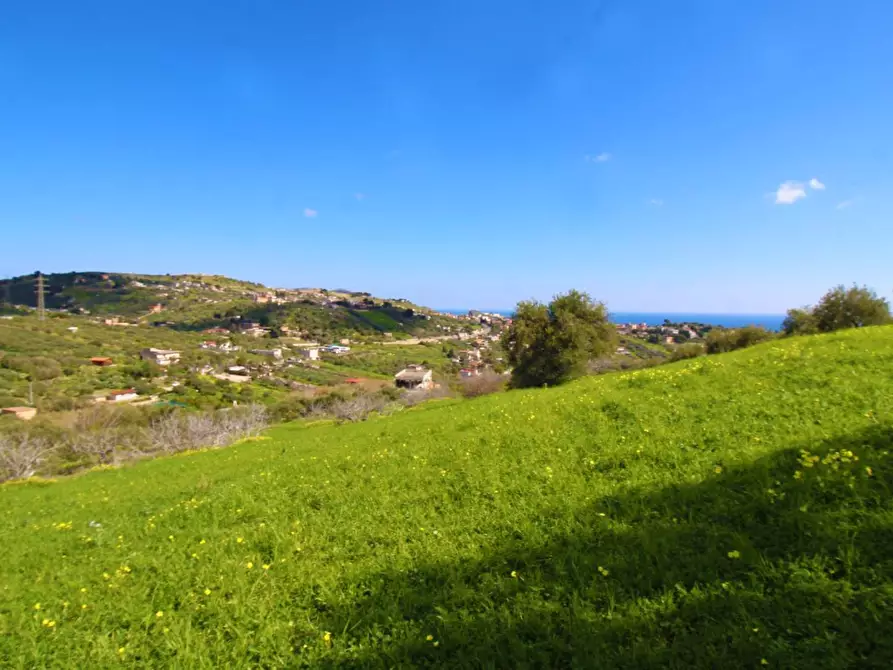 Immagine 41 di Terreno agricolo in vendita  in Strada Comunale Torre Amalfitano a Bagheria
