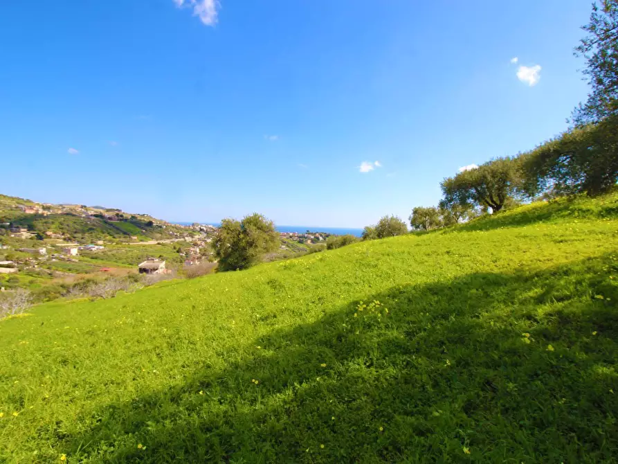 Immagine 42 di Terreno agricolo in vendita  in Strada Comunale Torre Amalfitano a Bagheria