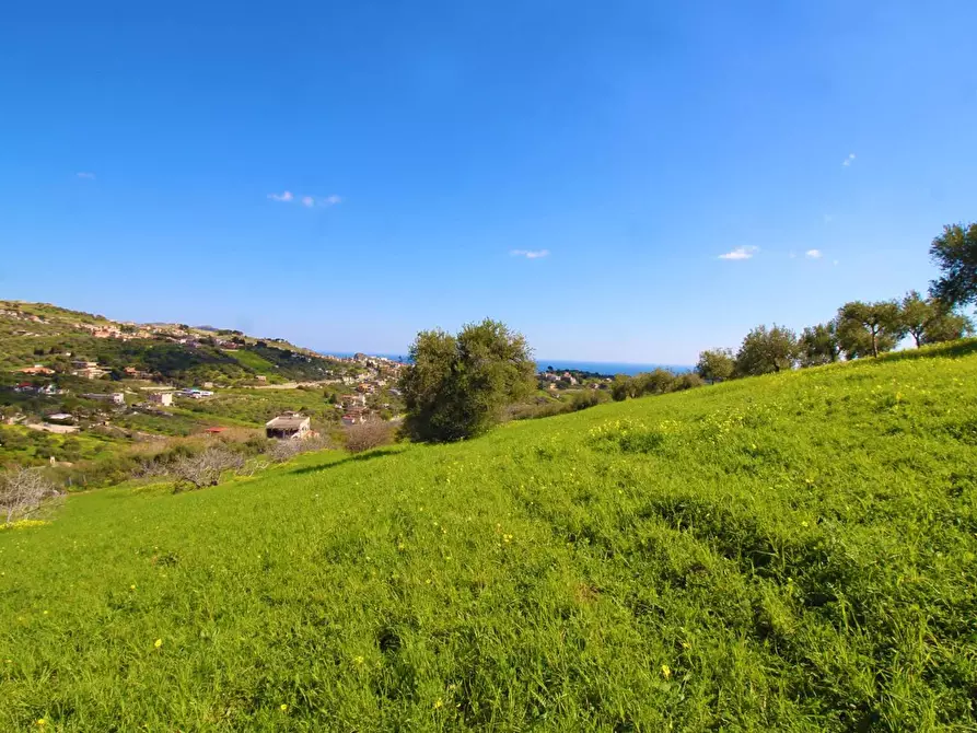 Immagine 47 di Terreno agricolo in vendita  in Strada Comunale Torre Amalfitano a Bagheria