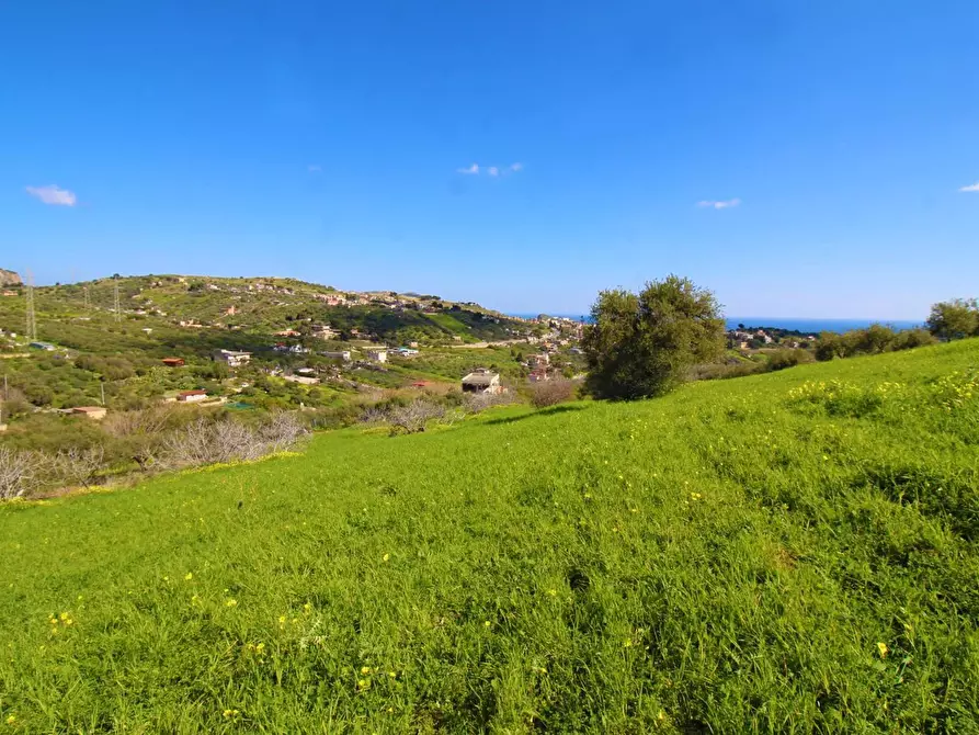 Immagine 48 di Terreno agricolo in vendita  in Strada Comunale Torre Amalfitano a Bagheria