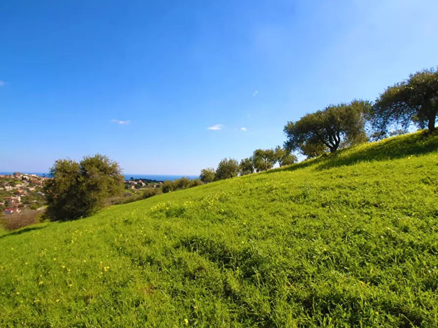 Immagine 49 di Terreno agricolo in vendita  in Strada Comunale Torre Amalfitano a Bagheria