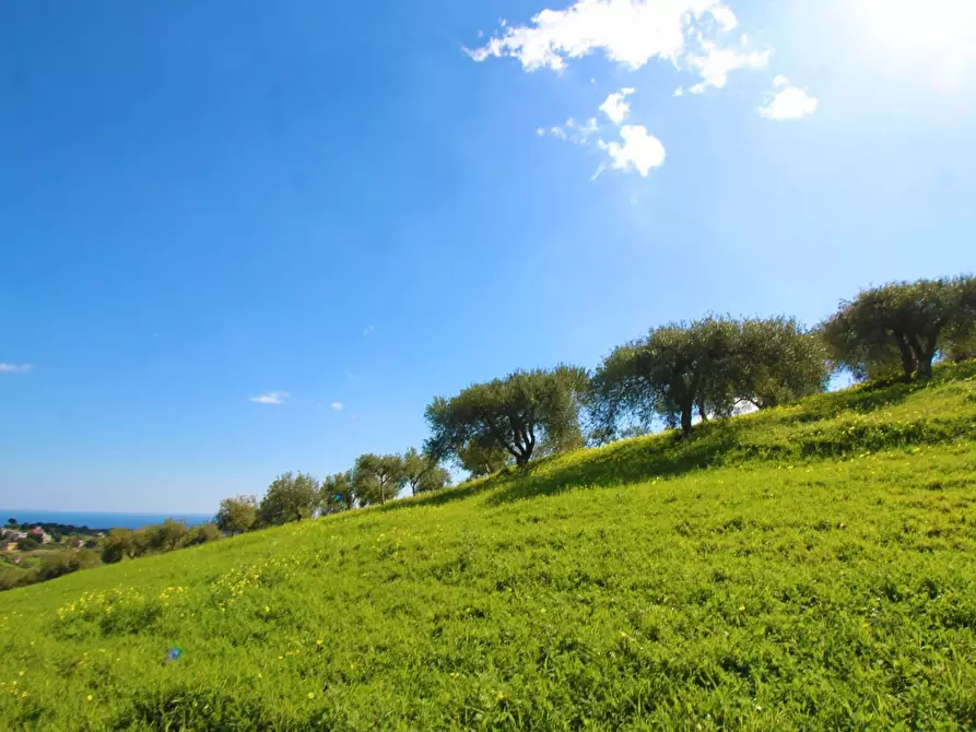 Immagine 50 di Terreno agricolo in vendita  in Strada Comunale Torre Amalfitano a Bagheria