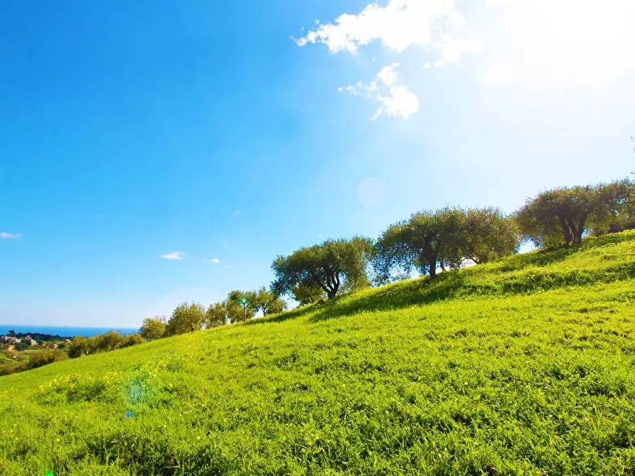 Immagine 51 di Terreno agricolo in vendita  in Strada Comunale Torre Amalfitano a Bagheria