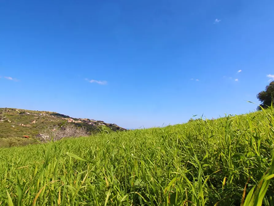 Immagine 57 di Terreno agricolo in vendita  in Strada Comunale Torre Amalfitano a Bagheria