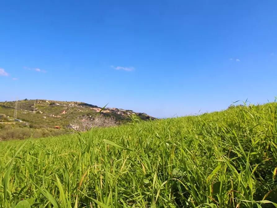 Immagine 58 di Terreno agricolo in vendita  in Strada Comunale Torre Amalfitano a Bagheria