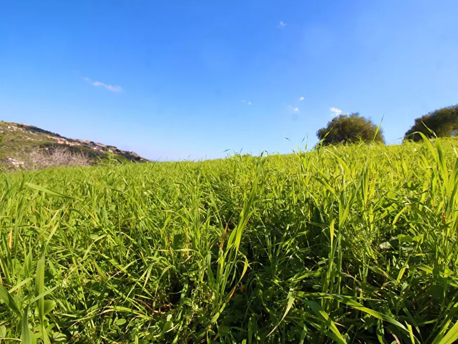 Immagine 59 di Terreno agricolo in vendita  in Strada Comunale Torre Amalfitano a Bagheria