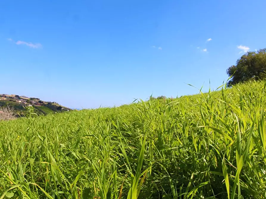Immagine 60 di Terreno agricolo in vendita  in Strada Comunale Torre Amalfitano a Bagheria