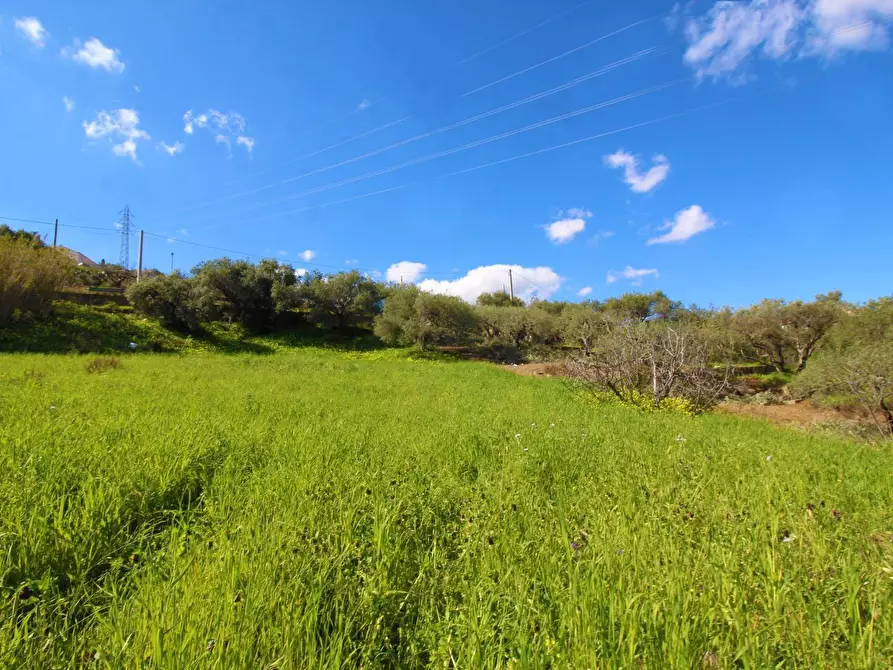Immagine 64 di Terreno agricolo in vendita  in Strada Comunale Torre Amalfitano a Bagheria