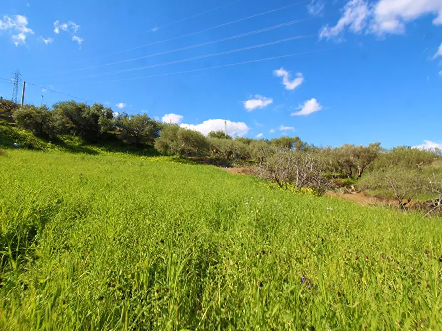 Immagine 65 di Terreno agricolo in vendita  in Strada Comunale Torre Amalfitano a Bagheria