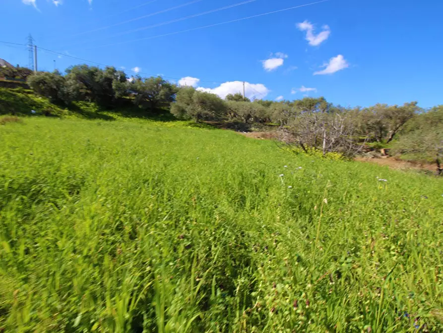 Immagine 66 di Terreno agricolo in vendita  in Strada Comunale Torre Amalfitano a Bagheria