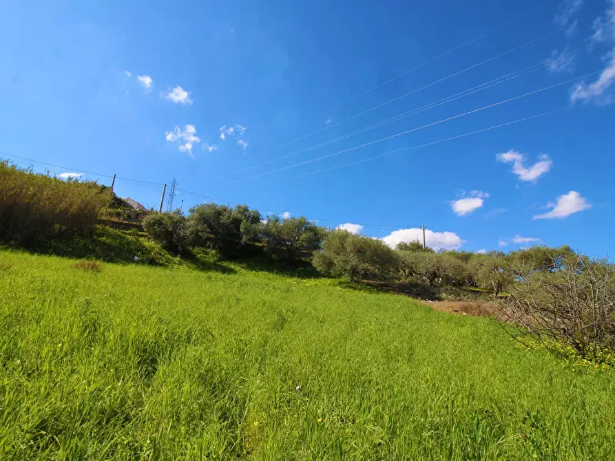 Immagine 67 di Terreno agricolo in vendita  in Strada Comunale Torre Amalfitano a Bagheria