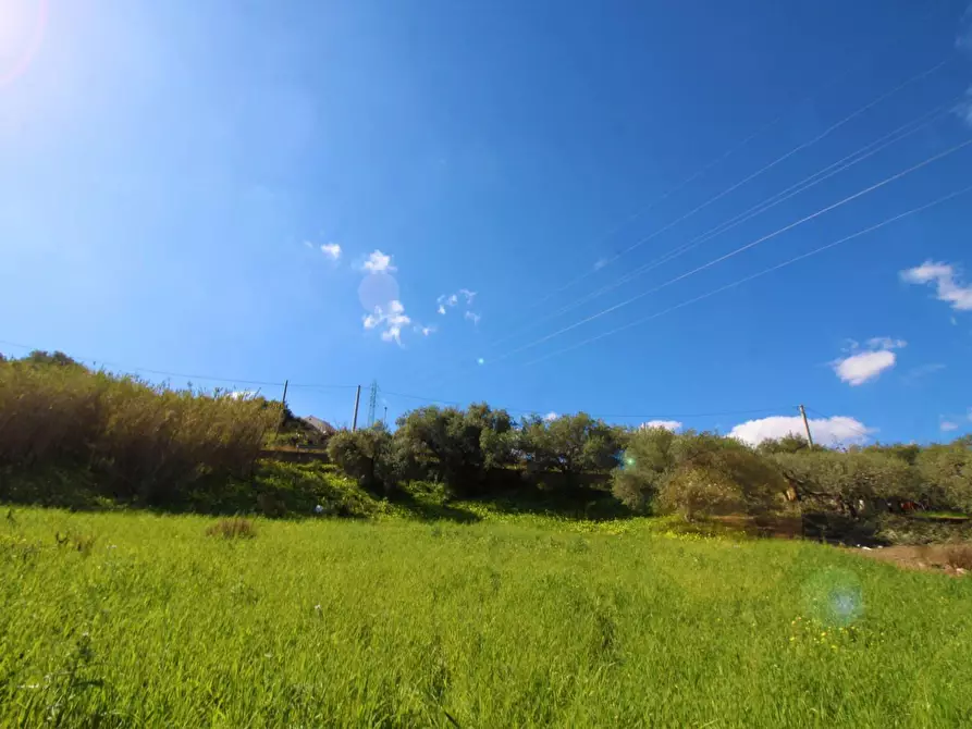 Immagine 68 di Terreno agricolo in vendita  in Strada Comunale Torre Amalfitano a Bagheria