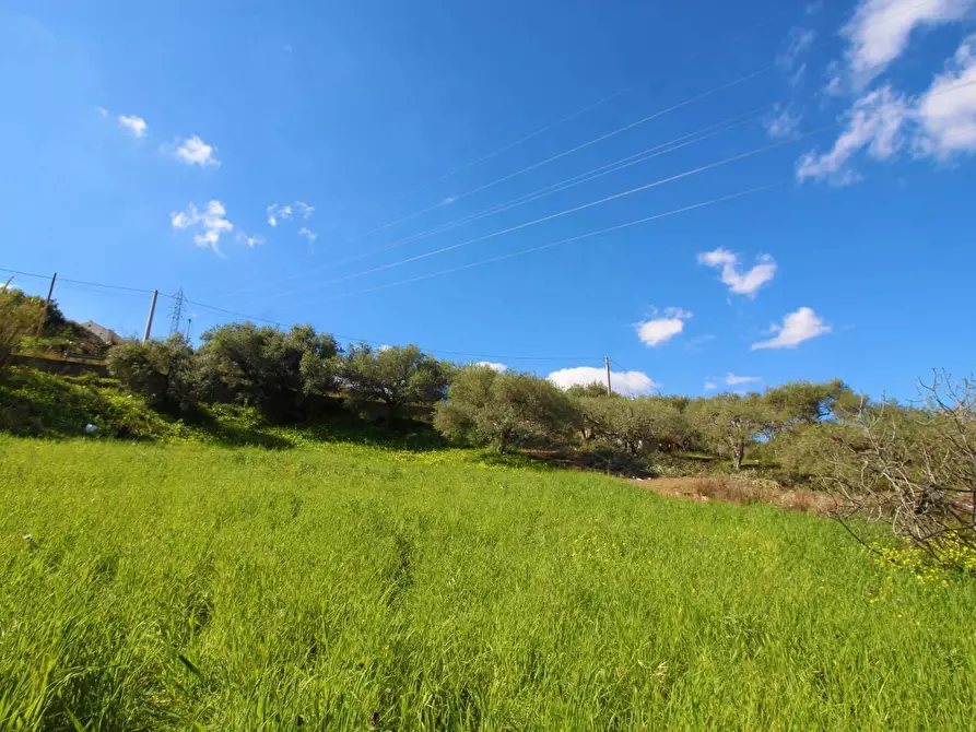 Immagine 69 di Terreno agricolo in vendita  in Strada Comunale Torre Amalfitano a Bagheria