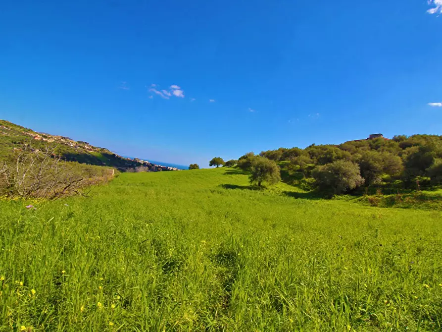 Immagine 71 di Terreno agricolo in vendita  in Strada Comunale Torre Amalfitano a Bagheria