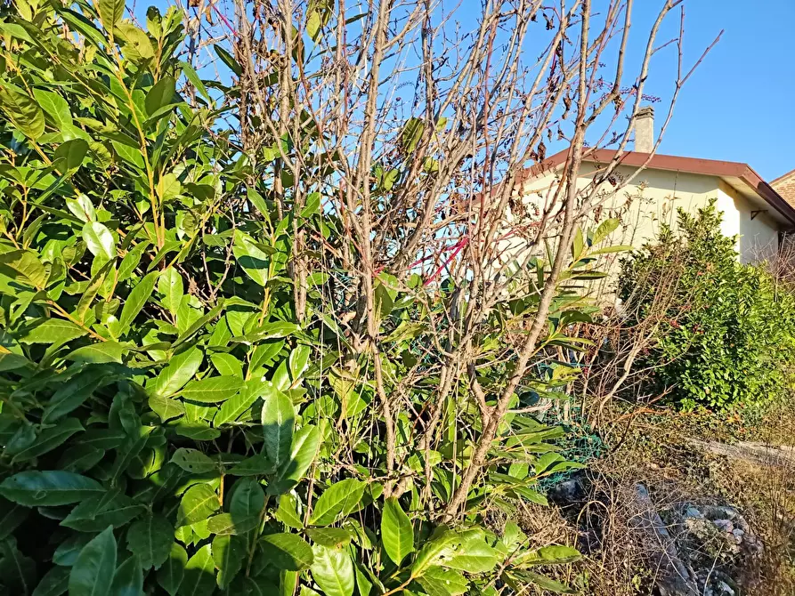 Immagine 2 di Terreno residenziale in vendita  in via vetrego a Mirano