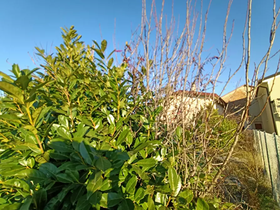 Immagine 4 di Terreno residenziale in vendita  in via vetrego a Mirano