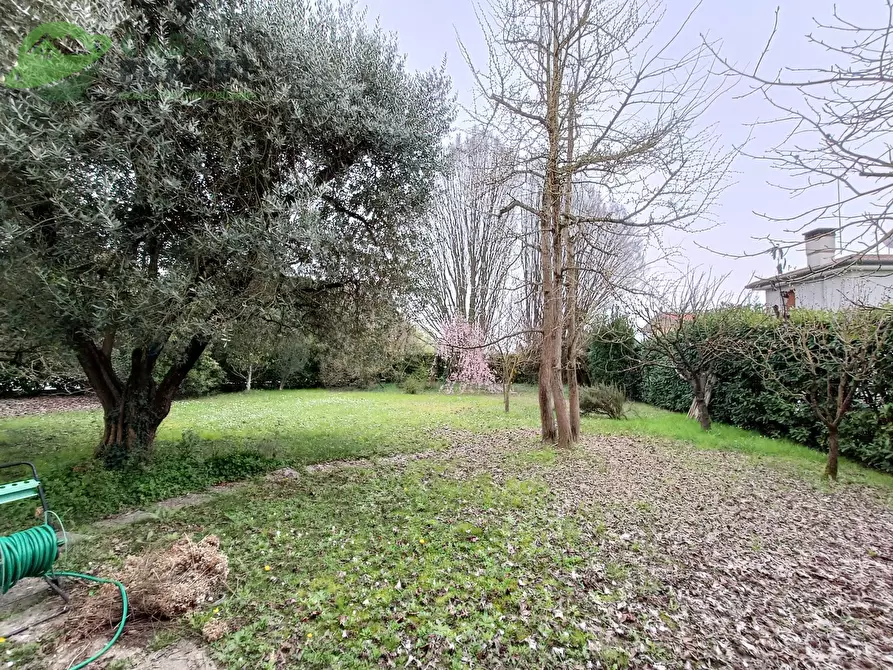 Immagine 12 di Villetta a schiera in vendita  a Mogliano Veneto