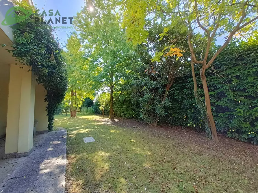 Immagine 13 di Villetta a schiera in vendita  a Mogliano Veneto