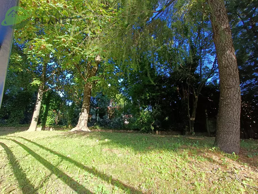 Immagine 18 di Appartamento in vendita  in VIA DELLO SCOUTISMO a Mogliano Veneto