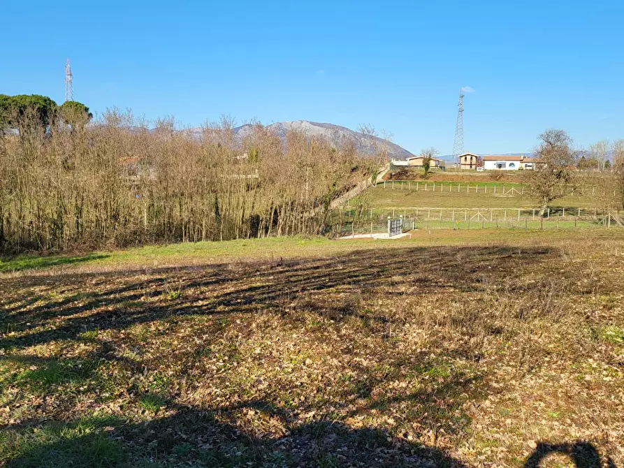 Immagine 2 di Terreno agricolo in vendita  in Via Colle S. Upica snc a Valmontone