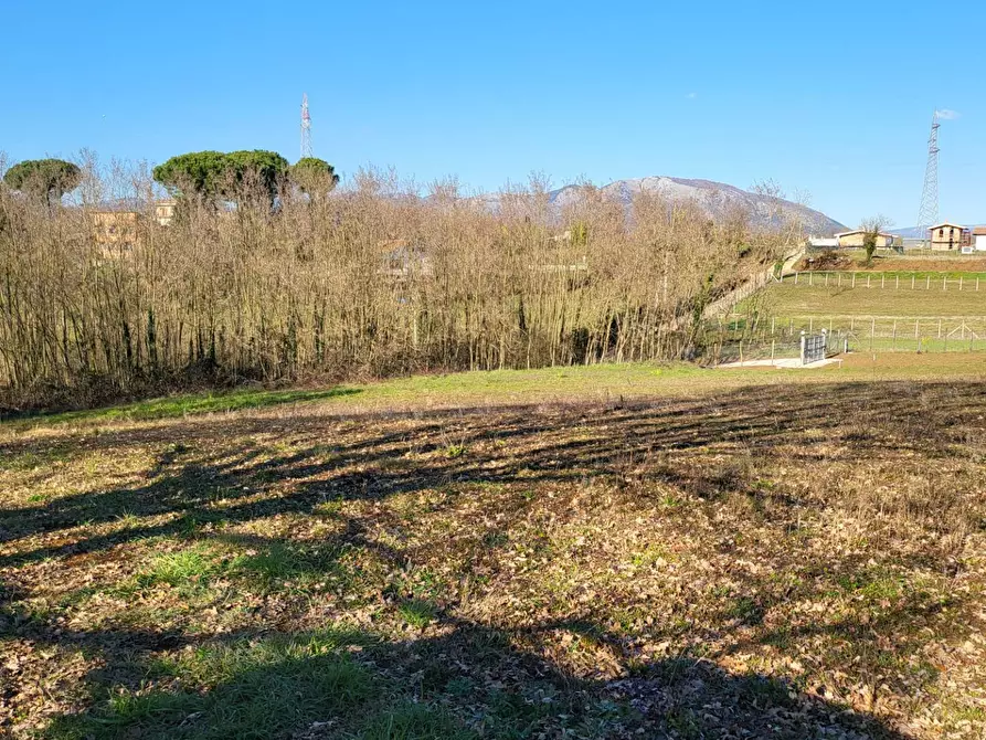 Immagine 3 di Terreno agricolo in vendita  in Via Colle S. Upica snc a Valmontone