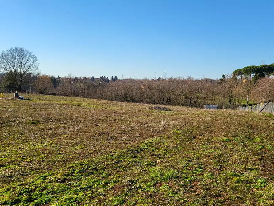 Immagine 4 di Terreno agricolo in vendita  in Via Colle S. Upica snc a Valmontone