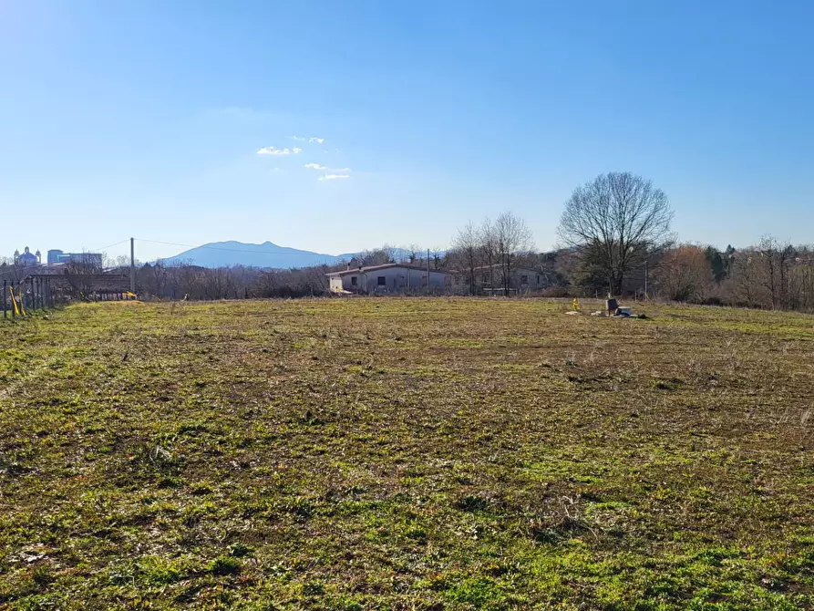 Immagine 5 di Terreno agricolo in vendita  in Via Colle S. Upica snc a Valmontone