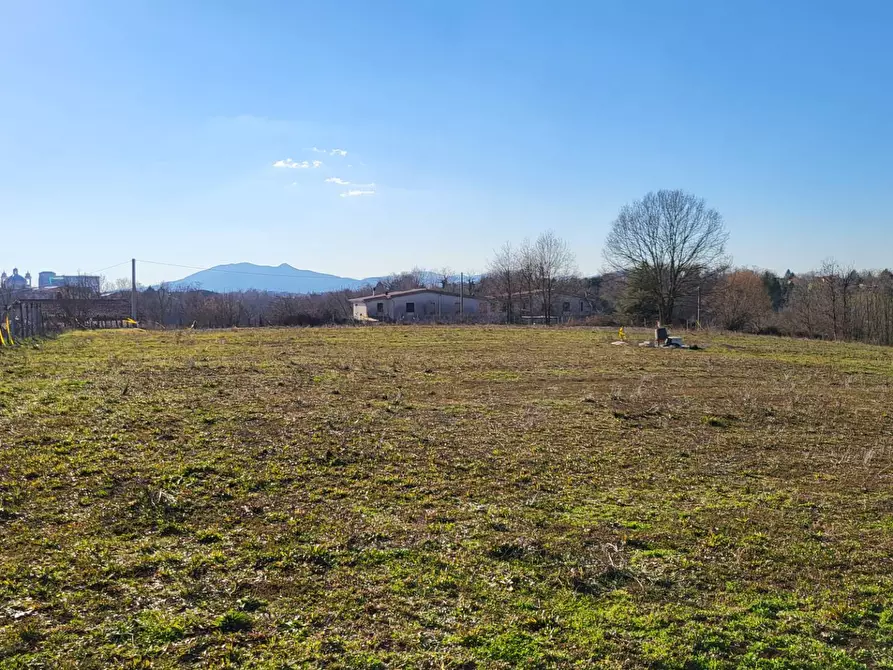 Immagine 6 di Terreno agricolo in vendita  in Via Colle S. Upica snc a Valmontone