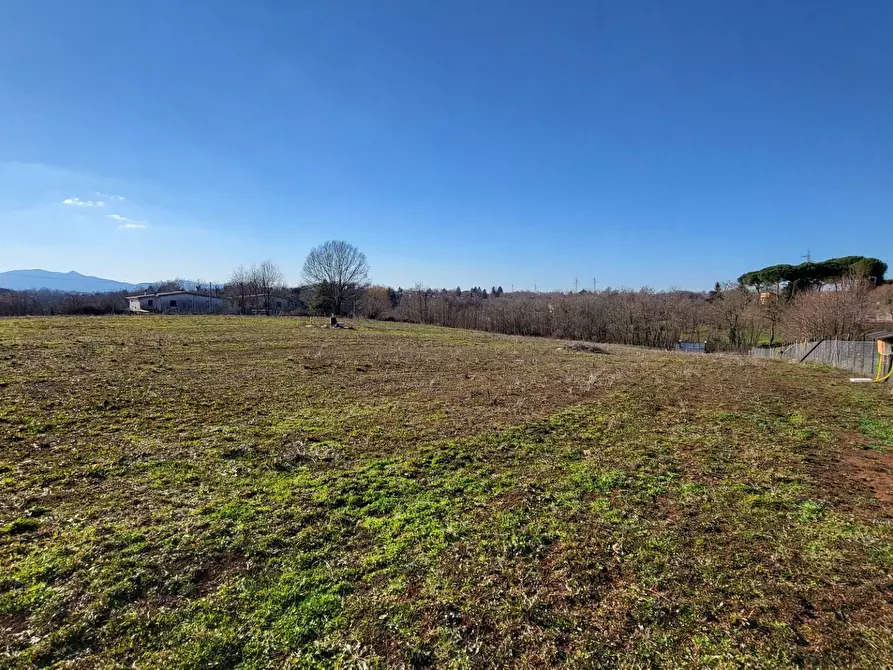 Immagine 7 di Terreno agricolo in vendita  in Via Colle S. Upica snc a Valmontone