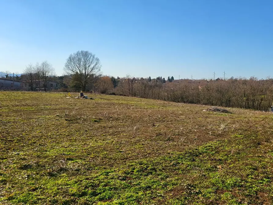 Immagine 8 di Terreno agricolo in vendita  in Via Colle S. Upica snc a Valmontone