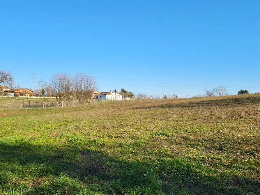 Immagine 9 di Terreno agricolo in vendita  in Via Colle S. Upica snc a Valmontone