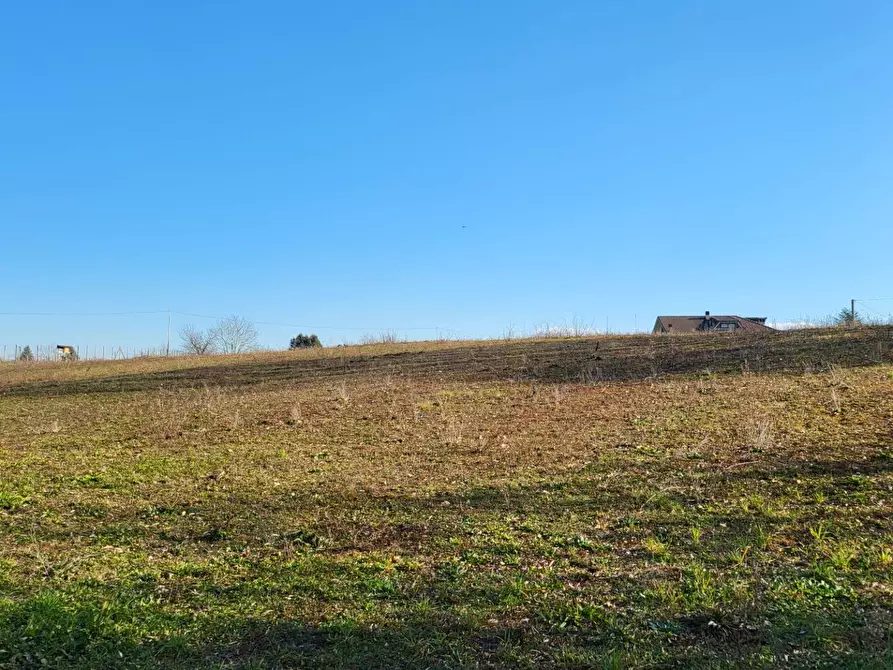 Immagine 10 di Terreno agricolo in vendita  in Via Colle S. Upica snc a Valmontone