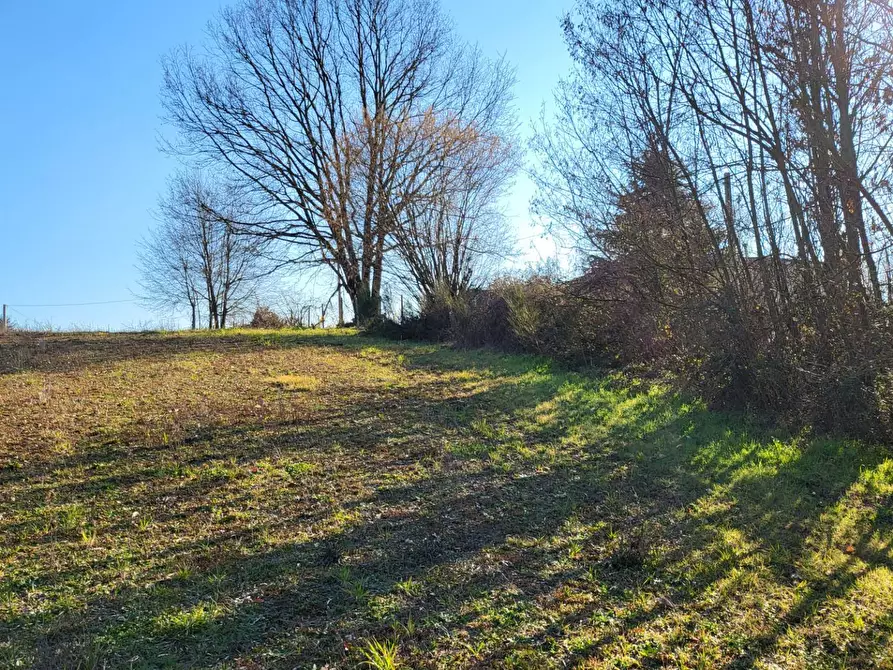 Immagine 11 di Terreno agricolo in vendita  in Via Colle S. Upica snc a Valmontone