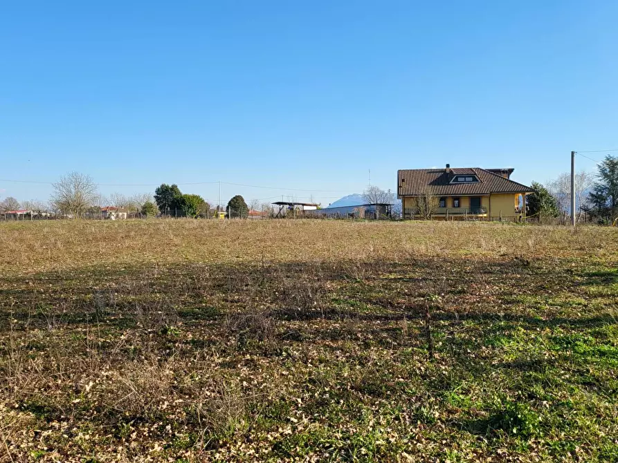 Immagine 12 di Terreno agricolo in vendita  in Via Colle S. Upica snc a Valmontone