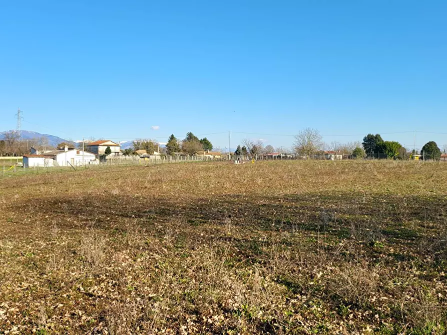 Immagine 13 di Terreno agricolo in vendita  in Via Colle S. Upica snc a Valmontone