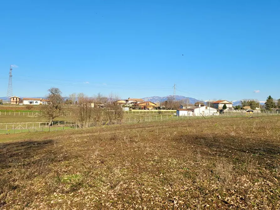 Immagine 14 di Terreno agricolo in vendita  in Via Colle S. Upica snc a Valmontone