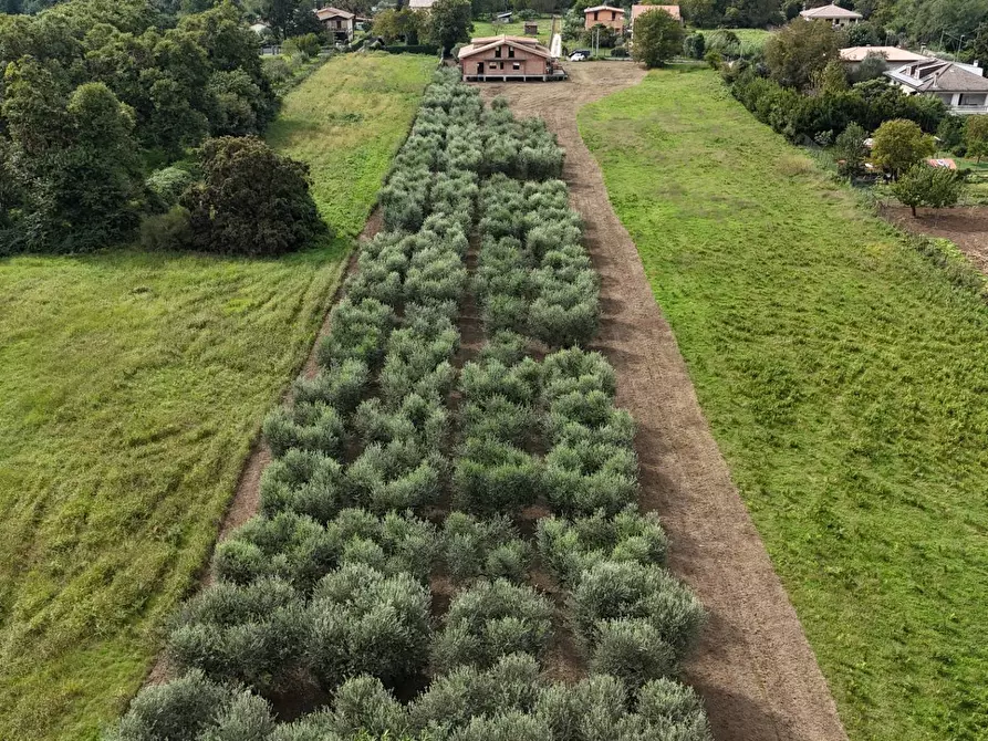Immagine 4 di Terreno residenziale in vendita  in Via Cesiano snc a Cave