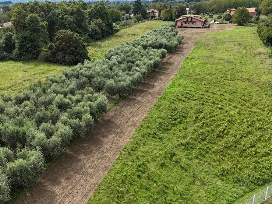 Immagine 6 di Terreno residenziale in vendita  in Via Cesiano snc a Cave