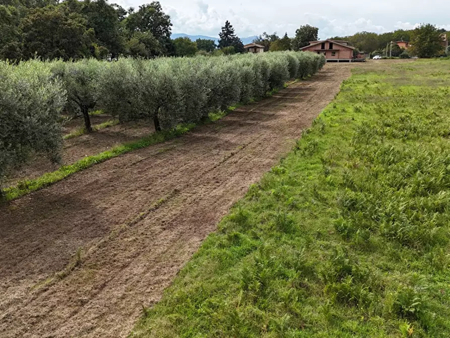 Immagine 7 di Terreno residenziale in vendita  in Via Cesiano snc a Cave