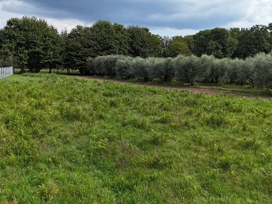 Immagine 12 di Terreno residenziale in vendita  in Via Cesiano snc a Cave