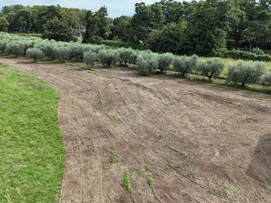 Immagine 13 di Terreno residenziale in vendita  in Via Cesiano snc a Cave